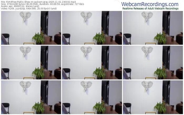 2025/11/01/flirt4free-jackson-gray-23-00-32