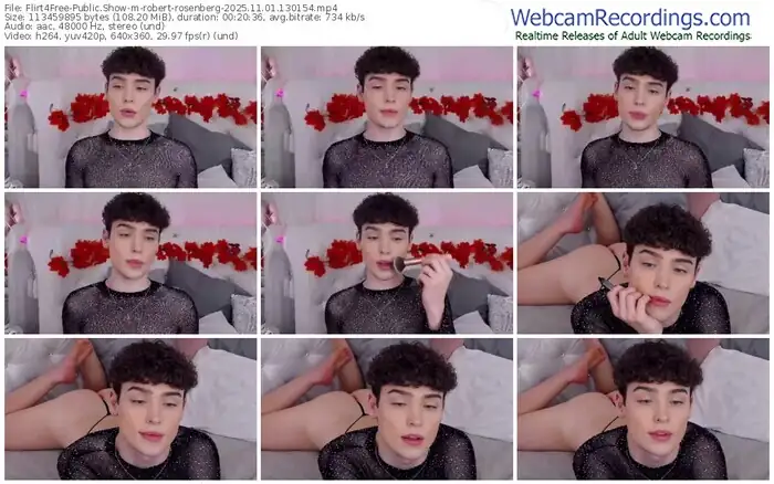 2025/11/01/flirt4free-robert-rosenberg-13-01-54