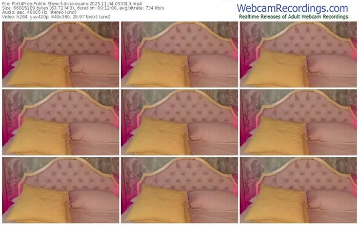 2025/11/04/flirt4free-dixie-evans-03-33-13