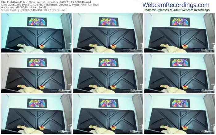 2025/11/13/flirt4free-matius-coslink-05-01-48