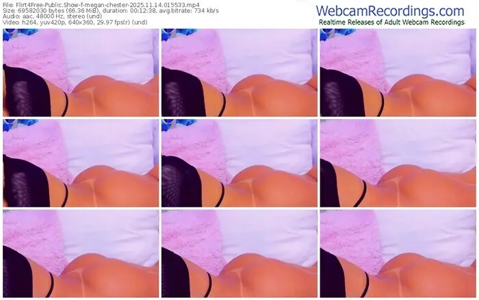2025/11/14/flirt4free-megan-chester-01-55-33