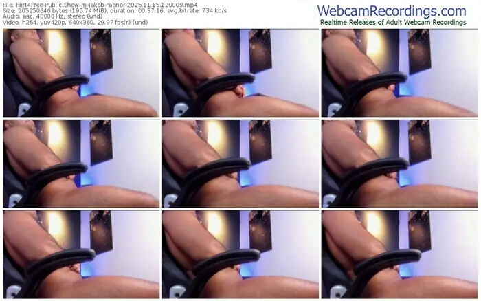 2025/11/15/flirt4free-jakob-ragnar-12-00-09