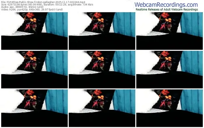 2025/11/17/flirt4free-robin-gallagher-00-22-44