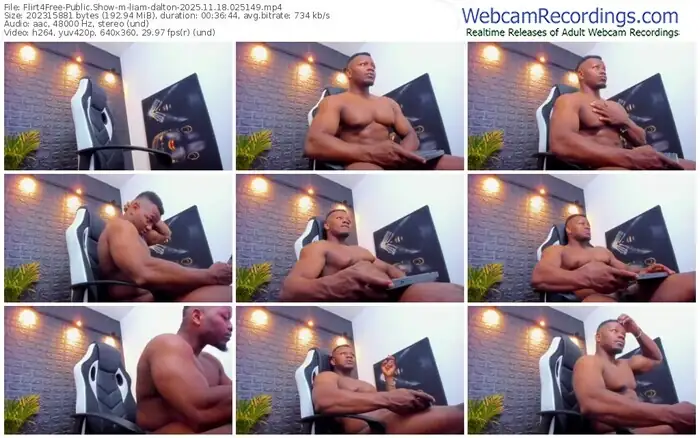 2025/11/18/flirt4free-liam-dalton-02-51-49