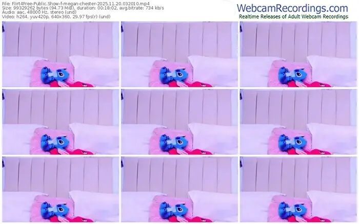 2025/11/20/flirt4free-megan-chester-03-20-10