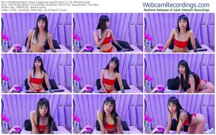 2025/11/21/flirt4free-pamela-squirtt-05-54-50
