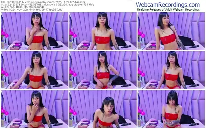 2025/11/21/flirt4free-pamela-squirtt-06-54-47