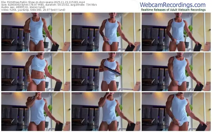 2025/11/23/flirt4free-dion-seans-11-53-01