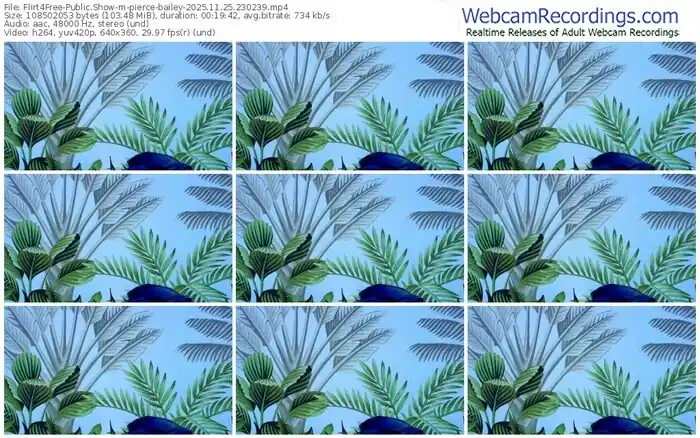 2025/11/25/flirt4free-pierce-bailey-23-02-39