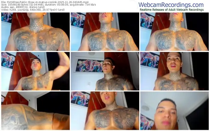 2025/11/26/flirt4free-matius-coslink-04-34-45