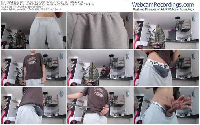 2025/11/26/flirt4free-nelson-parker-12-04-47