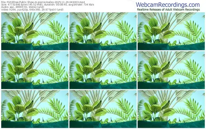 2025/11/29/flirt4free-pierce-bailey-04-30-03