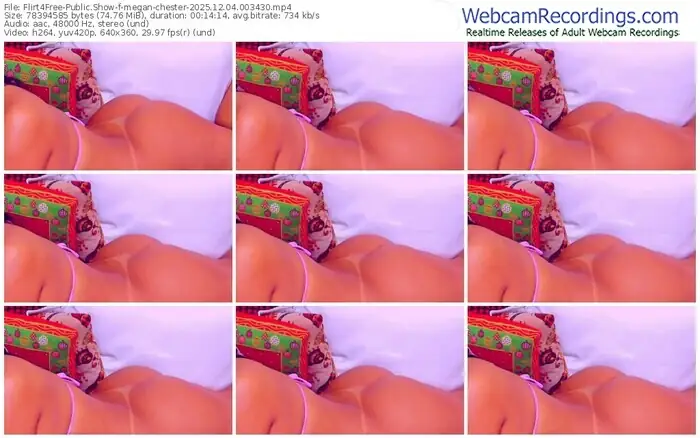 2025/12/04/flirt4free-megan-chester-00-34-30