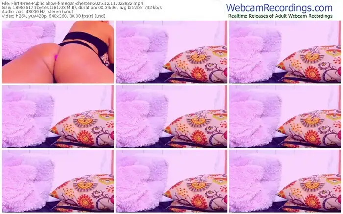 2025/12/11/flirt4free-megan-chester-02-39-32