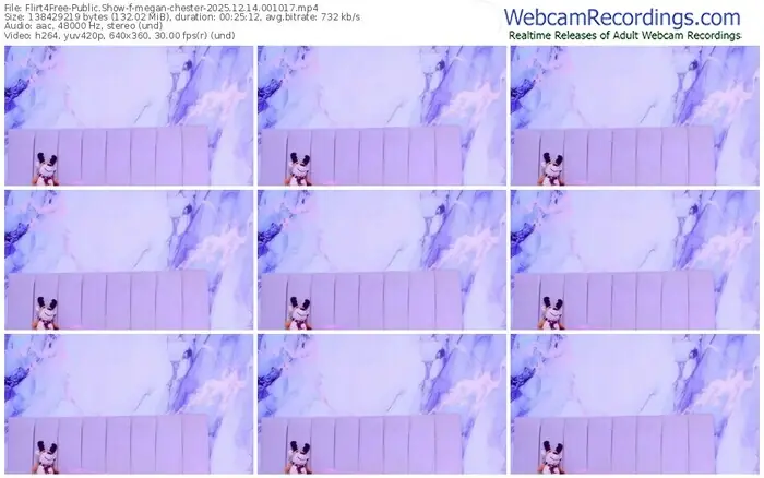 2025/12/14/flirt4free-megan-chester-00-10-17