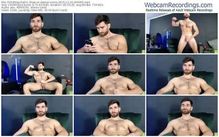 2025/12/16/flirt4free-damon-veins-09-44-05