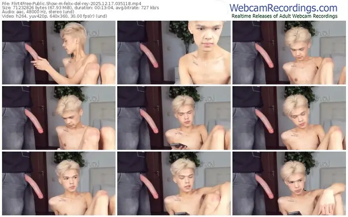 2025/12/17/flirt4free-felix-del-rey-03-51-18