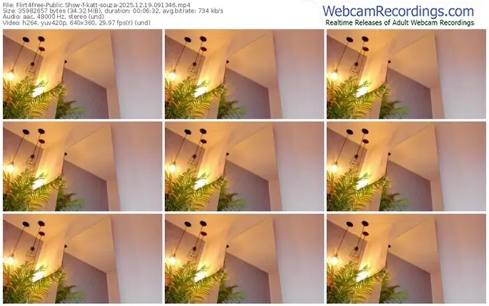 2025/12/19/flirt4free-katt-souza-09-13-46