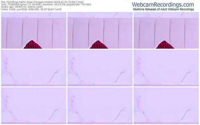 2026/01/05/flirt4free-megan-chester-21-46-17