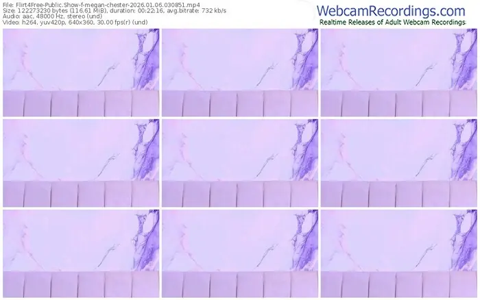 2026/01/06/flirt4free-megan-chester-03-08-51