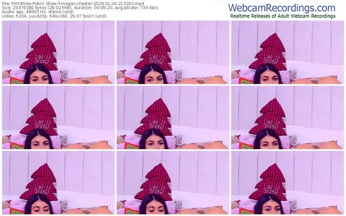 2026/01/09/flirt4free-megan-chester-21-32-02