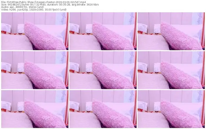 2026/03/06/flirt4free-megan-chester-02-15-47