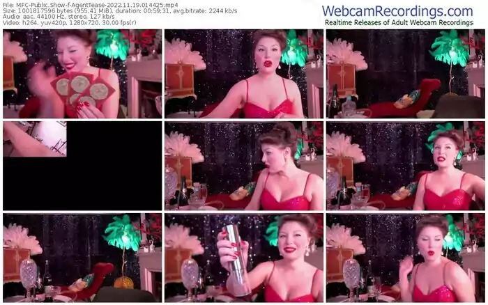 2022/11/19/mfc-agenttease-01-44-25