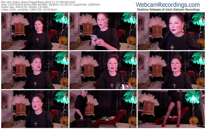 2022/11/27/mfc-agenttease-00-03-04