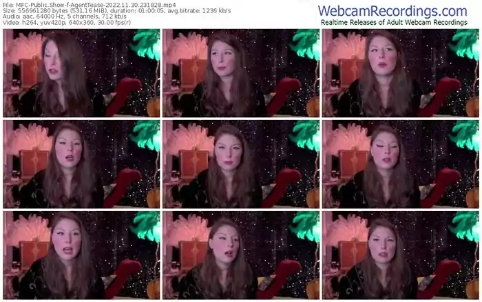 2022/11/30/mfc-agenttease-23-18-28