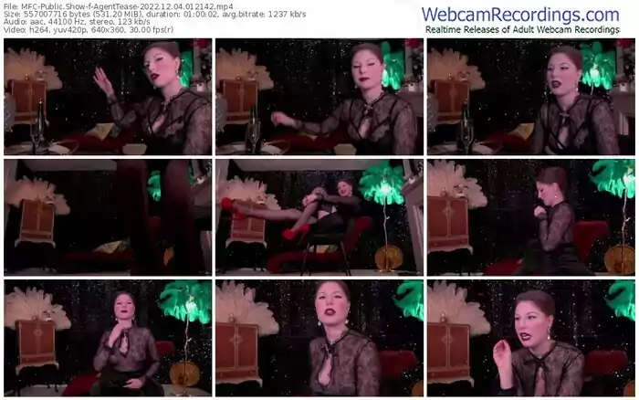2022/12/04/mfc-agenttease-01-21-42