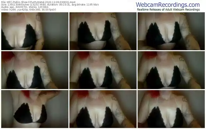 2022/12/09/mfc-purrtymetal-03-00-31