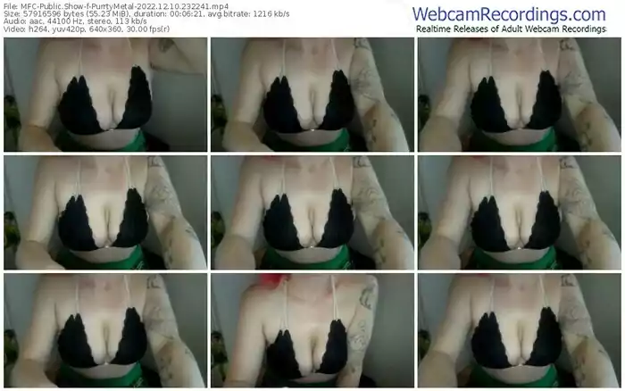2022/12/10/mfc-purrtymetal-23-22-41