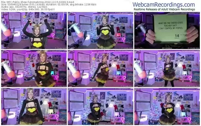 2022/12/15/mfc-animeannie-02-00-13