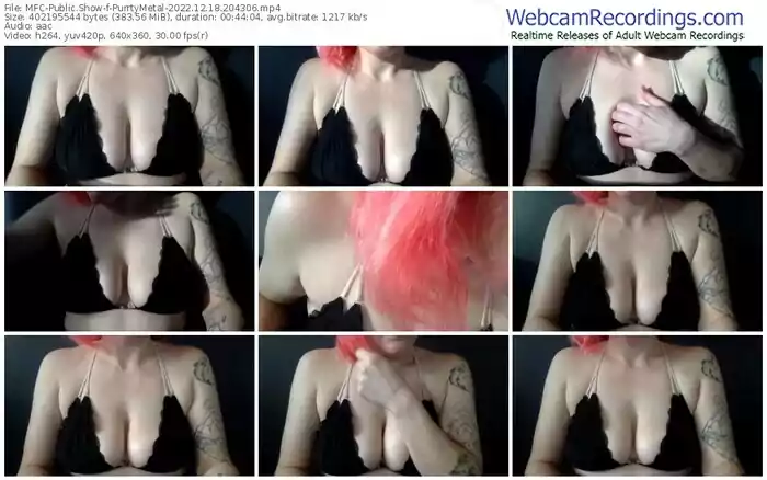 2022/12/18/mfc-purrtymetal-20-43-06