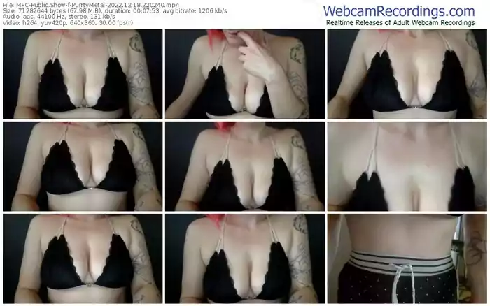 2022/12/18/mfc-purrtymetal-22-02-40