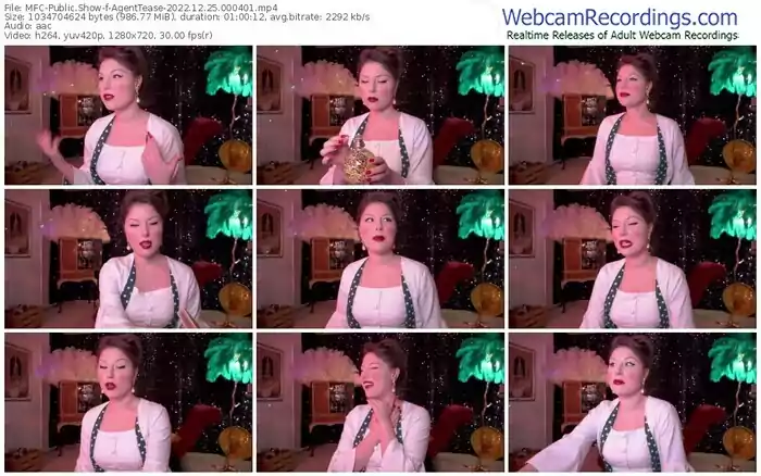 2022/12/25/mfc-agenttease-00-04-01