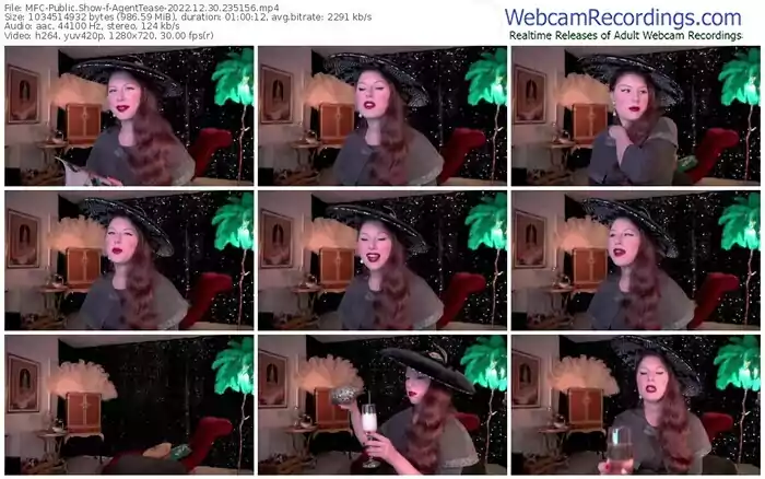 2022/12/30/mfc-agenttease-23-51-56