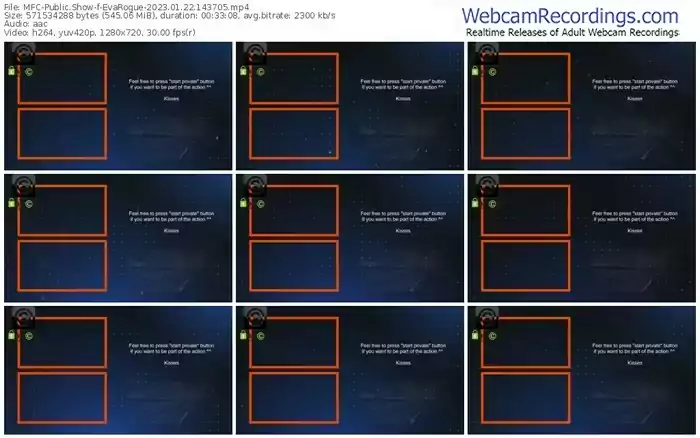 2023/01/22/mfc-evarogue-14-37-05