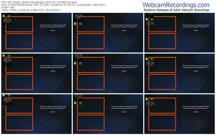 2023/01/24/mfc-evarogue-08-19-01