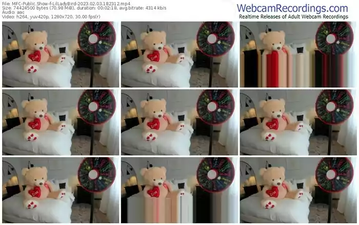 2023/02/03/mfc-lilladybird-18-23-12