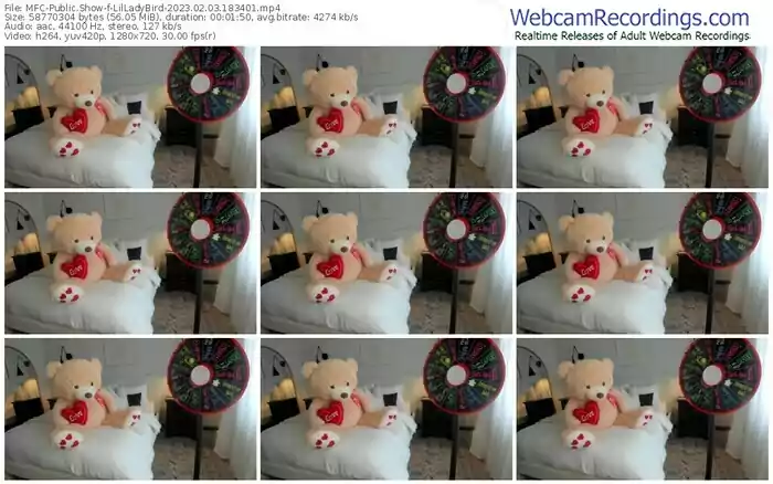 2023/02/03/mfc-lilladybird-18-34-01