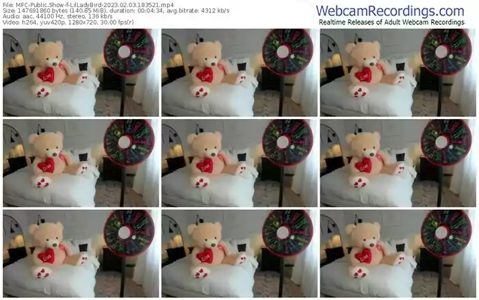 2023/02/03/mfc-lilladybird-18-35-21