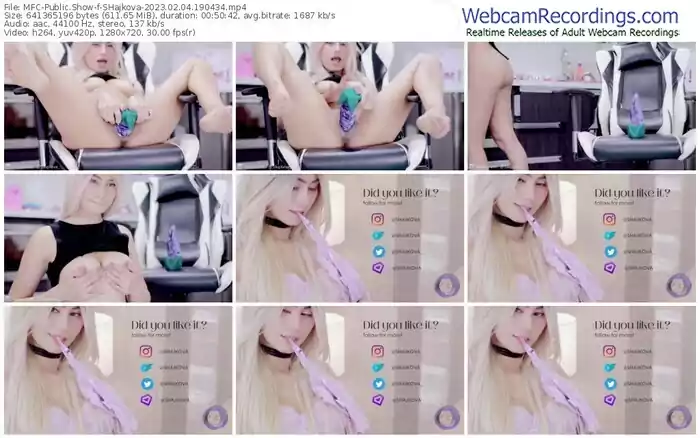 2023/02/04/mfc-shajkova-19-04-34