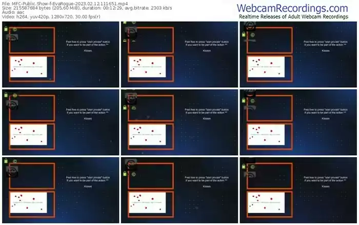 2023/02/12/mfc-evarogue-11-16-51
