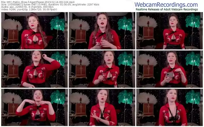 2023/02/14/mfc-agenttease-00-11-44