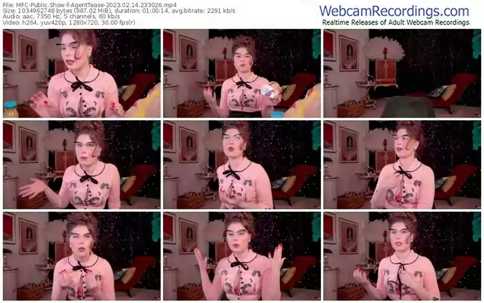 2023/02/14/mfc-agenttease-23-30-26