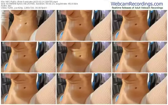 2023/02/14/mfc-ssticate-18-47-55