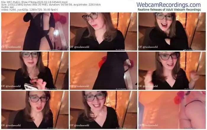 2023/02/18/mfc-tesla-04-54-42