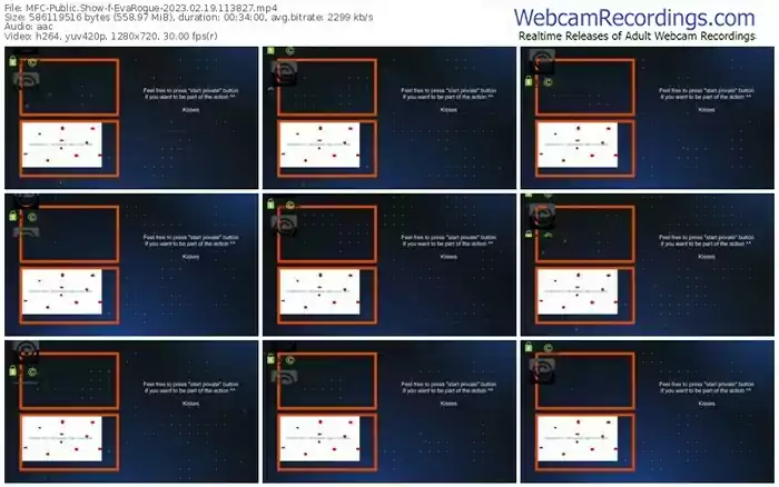 2023/02/19/mfc-evarogue-11-38-27