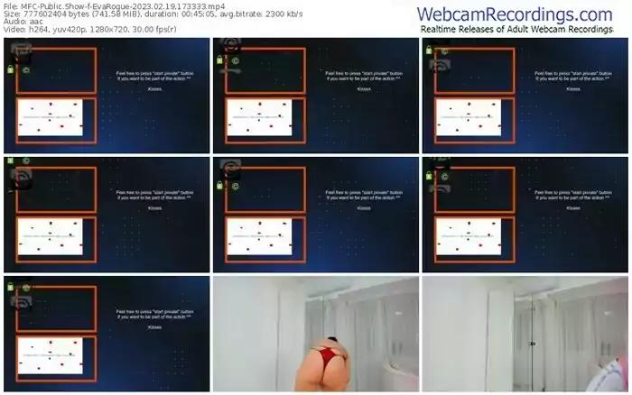 2023/02/19/mfc-evarogue-17-33-33